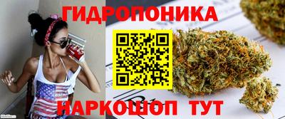 хмурый Гусь-Хрустальный
