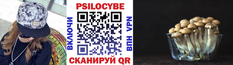 blacksprut tor  Магнитогорск  Псилоцибиновые грибы Psilocybine cubensis  наркотики 